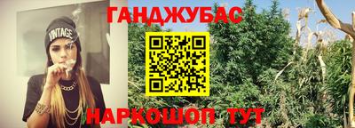 стаф Добрянка