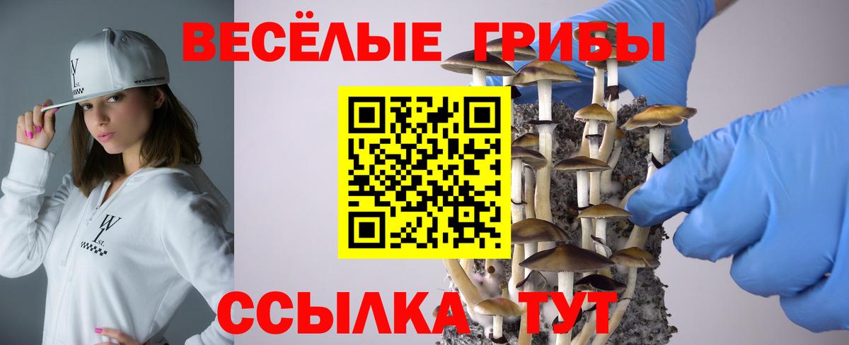 Галлюциногенные грибы мухоморы Нерюнгри