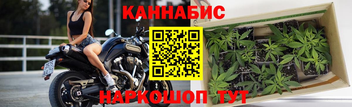 МАРИХУАНА Bruce Banner Нерюнгри